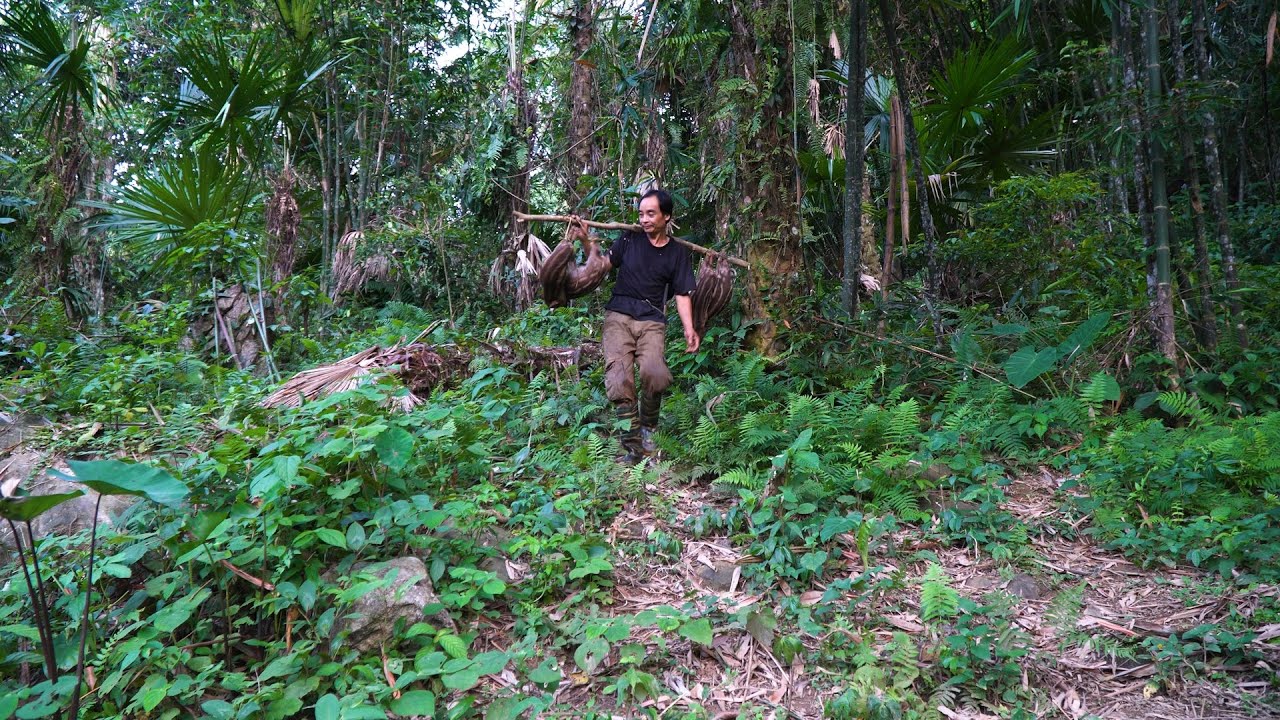Countless wild boars fell into the traps | LIVING OFF THE GRID | Episode 80