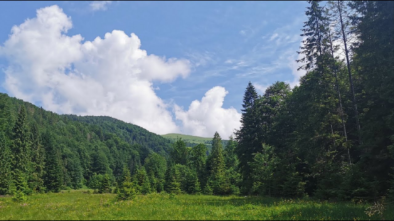 Гора Парашка. Трускавец 365