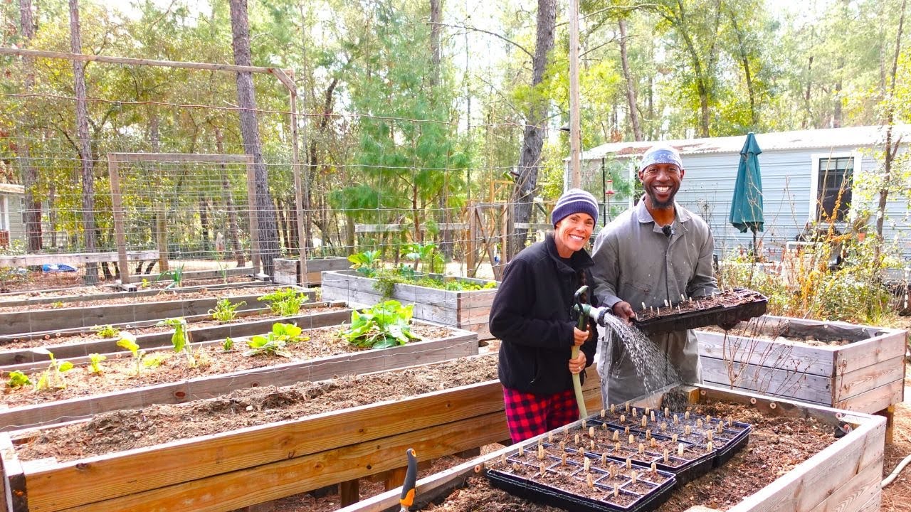 Fixing The Well After It Froze and Seed Starting Vegetable Plants for the Homestead Garden | E.p. 35