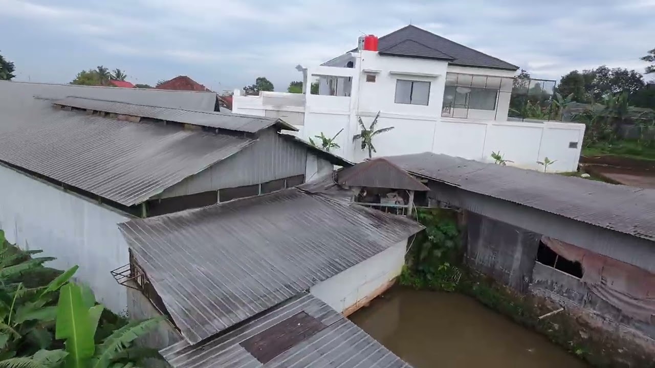 isengnya mas jawa