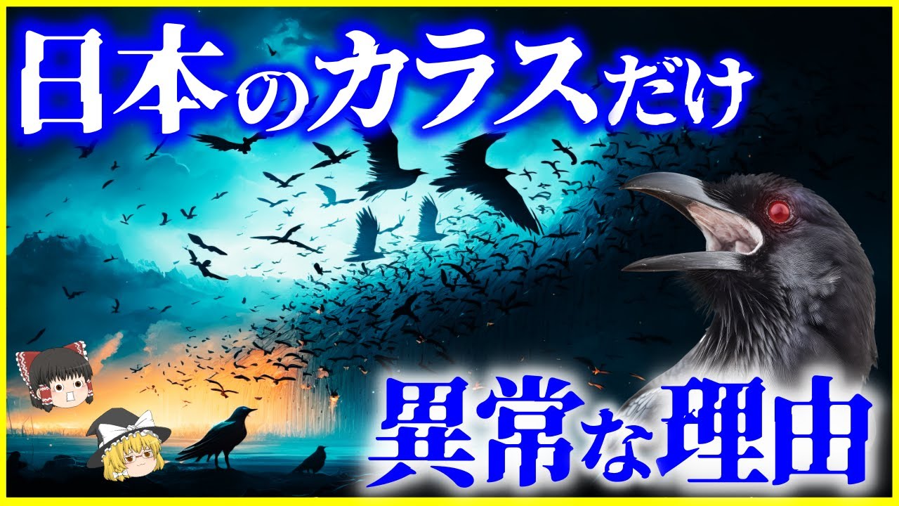 【ゆっくり解説】日本のカラスは何が違う…？鳥の世界の霊長類「カラス」の知能と言語を解説/方言がある⁉世界が驚く日本のカラスは異常⁉