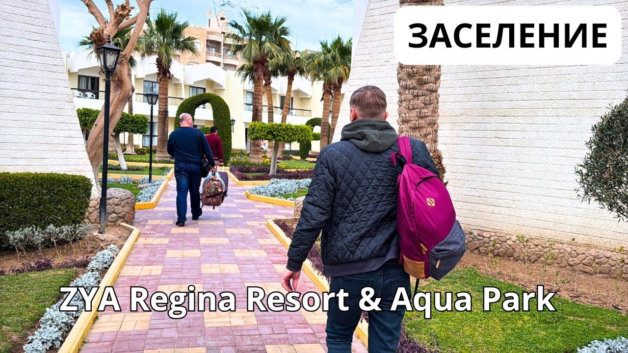 Египет 2025/ ЗАСЕЛЯЕМСЯ в отель ZYA Reginа Resort & Aqua Park 4*/ НЕ ПОНРАВИЛСЯ НОМЕР/ Хургада 2025
