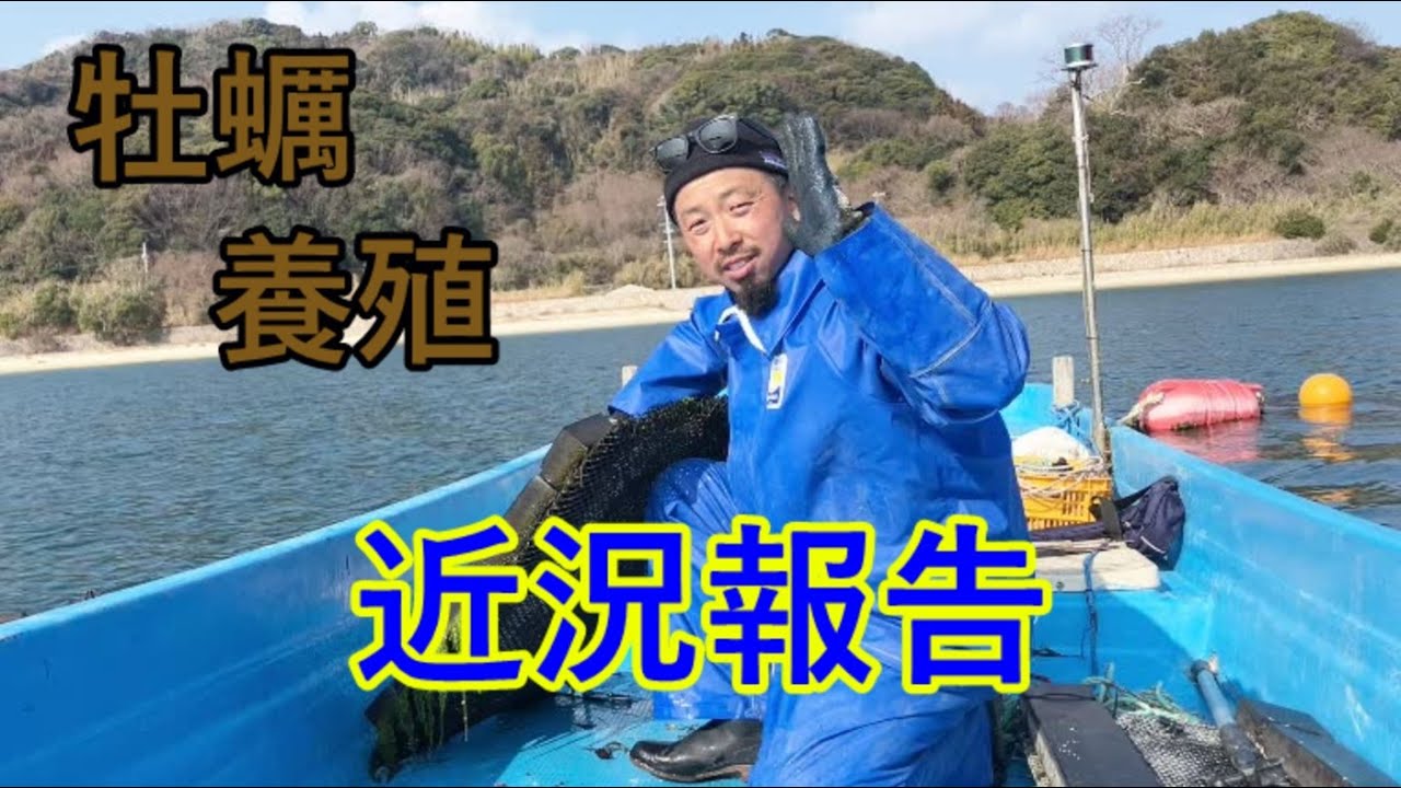 梅8　【柱島オイスター】近況報告～千里の牡蠣道も一歩から～