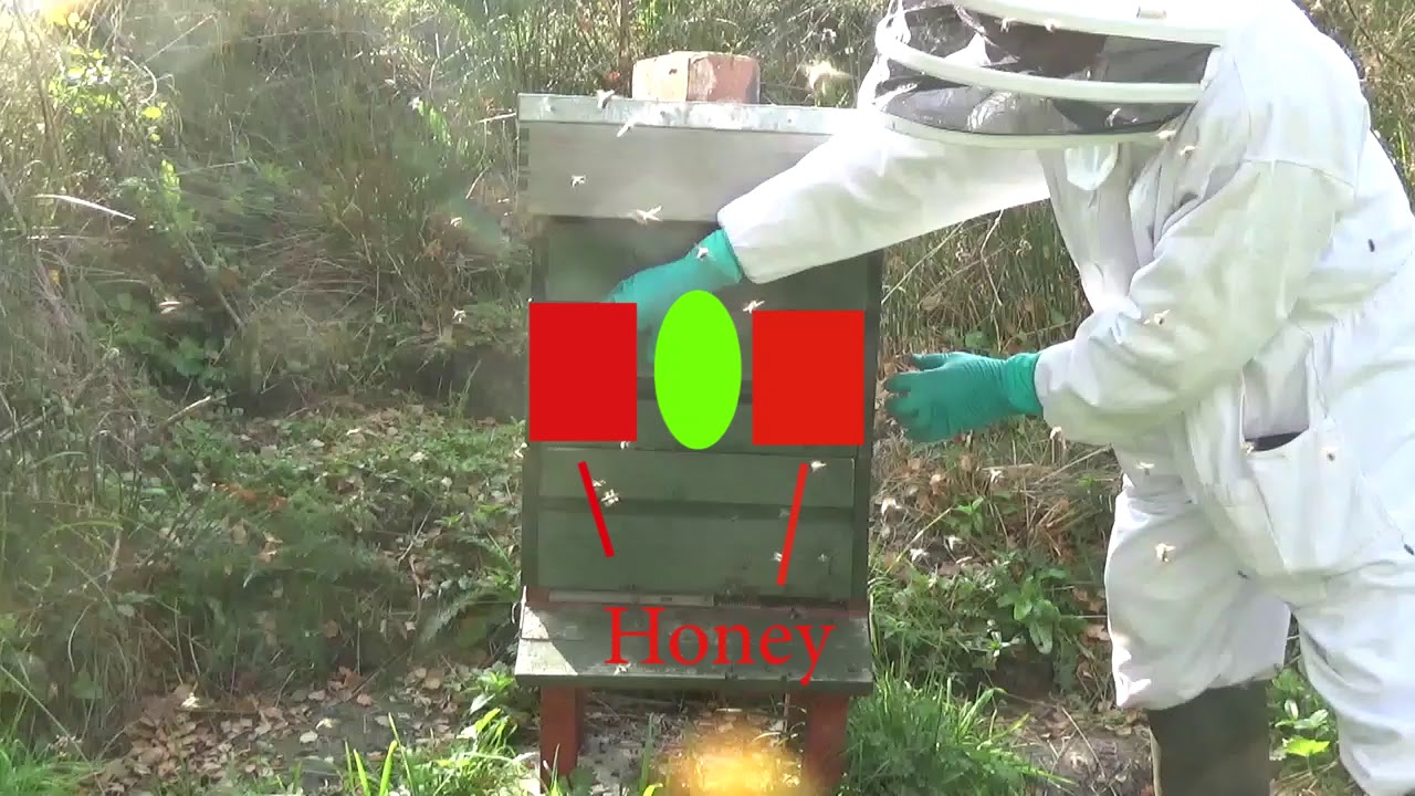 Keeping the winter bees warm and thoughts on the cluster