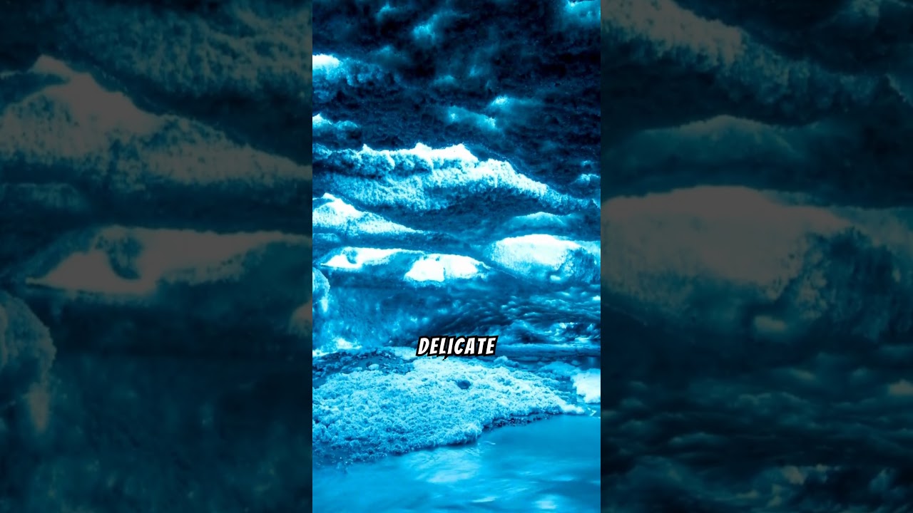Discover the Magic of Glowworm Caves: Nature’s Underground Light Spectacle 