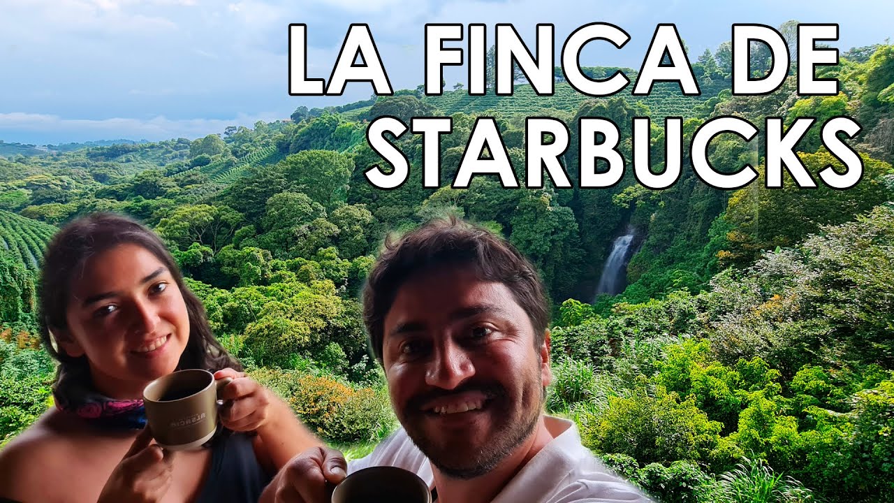 🇨🇷 COSTA RICA La única finca cafetera Starbucks