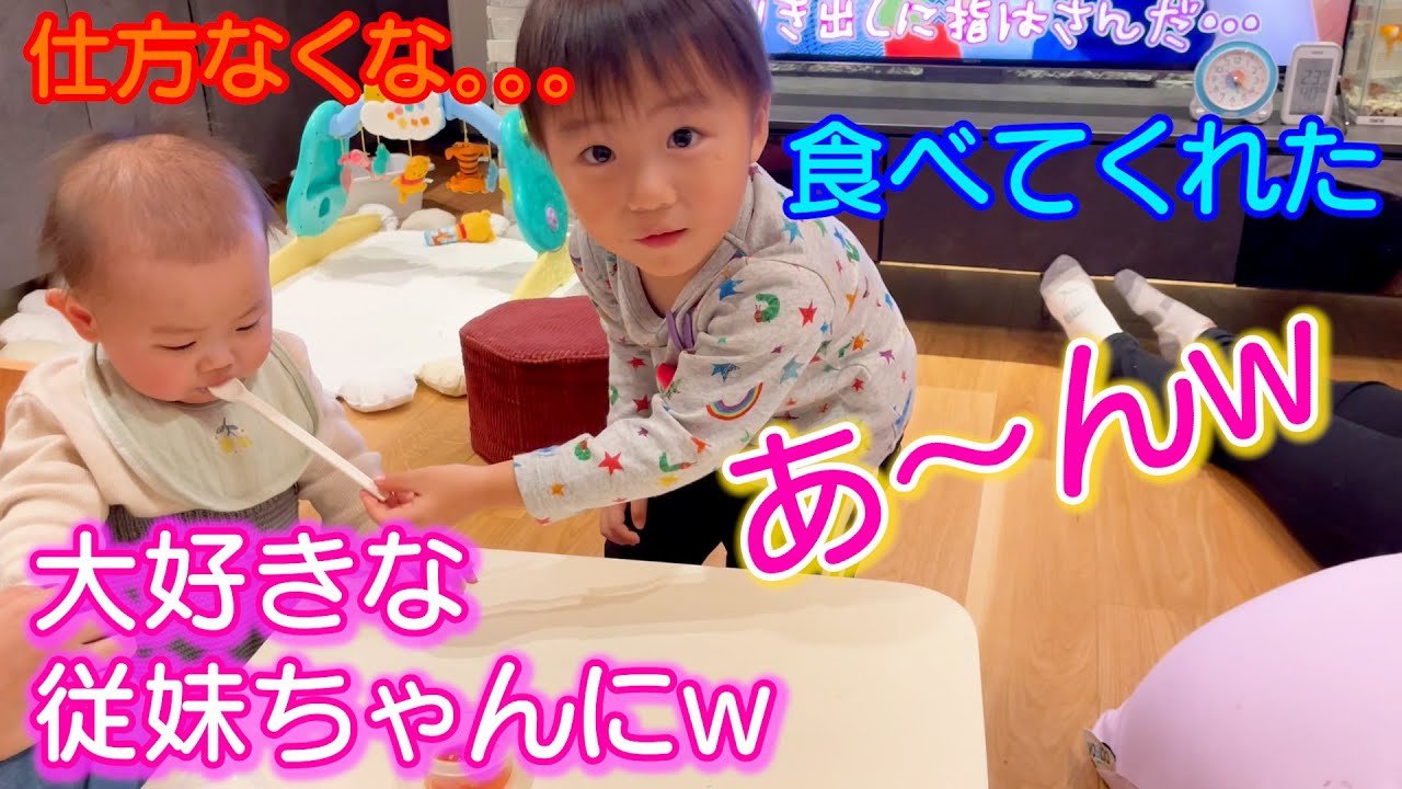 大好きな従妹ちゃんに離乳食をあ～んしてあげて満足そうなごう君ｗ3歳児男女双子＆生後3ヶ月赤ちゃんの日常