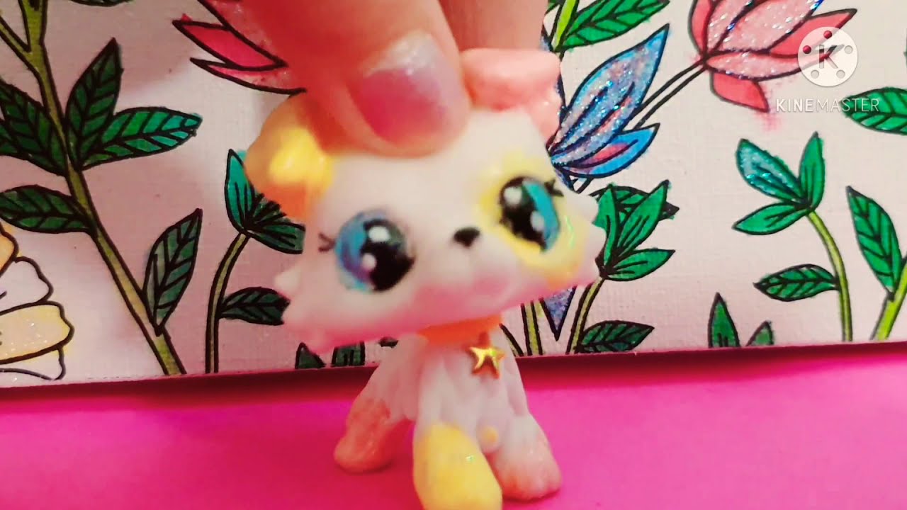 🍰❤présentation de tout mes lps et mes customs ^^❤🍭