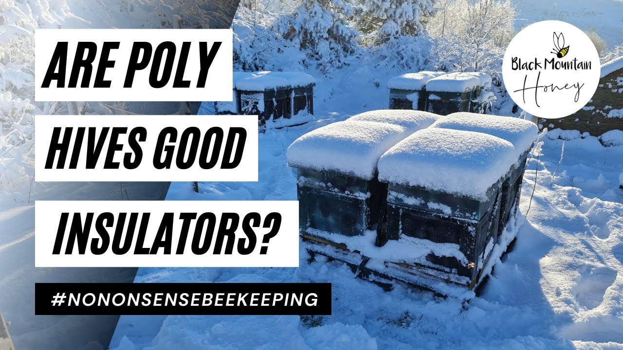 What Is The Best Beehive - ARE POLY HIVES GOOD INSULATORS - A LOOK INSIDE A HIVE IN 2C