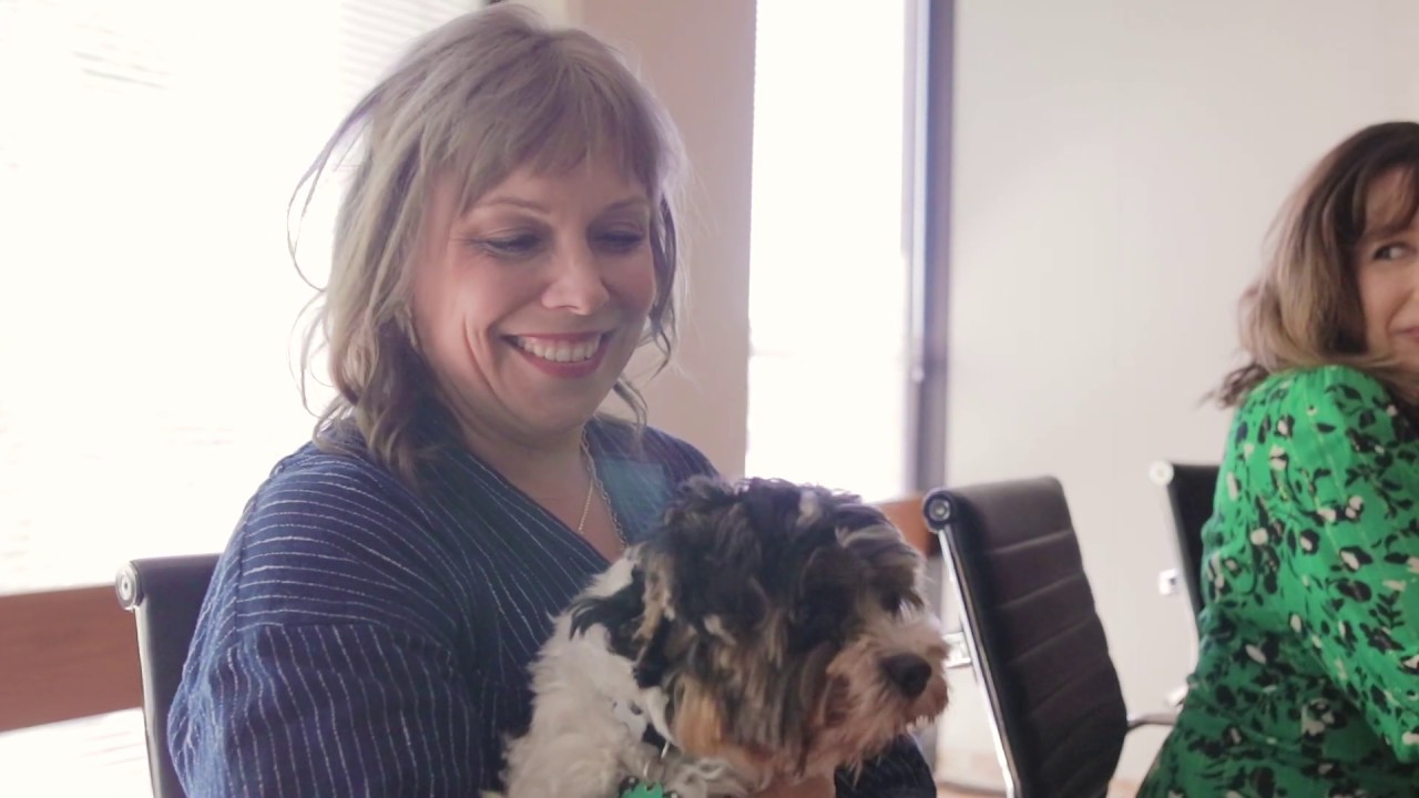 2019 Reisman Award Winner // Legal Innovation: Levine Family Law Group