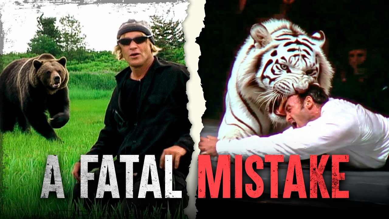 Real Tragedies That Could Have Been Avoided