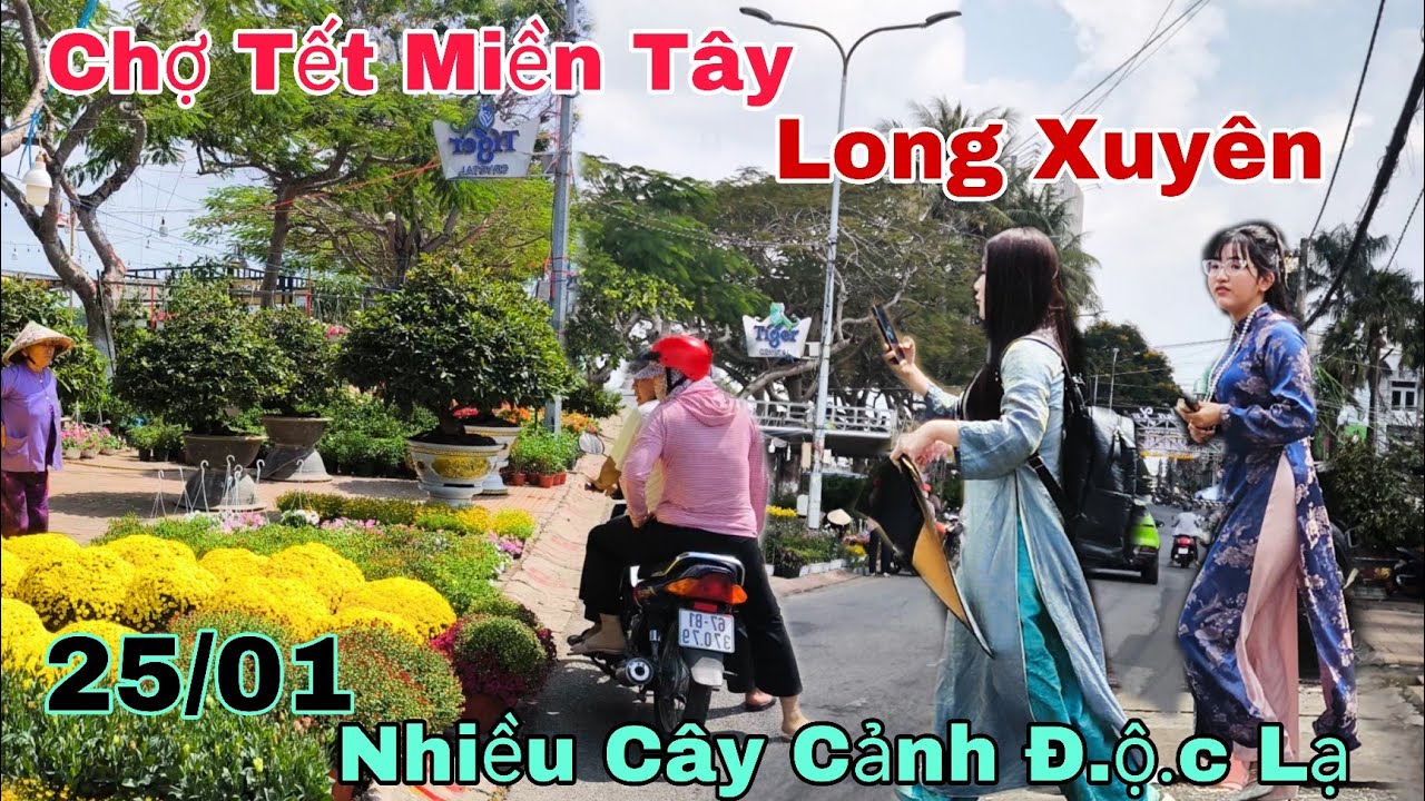 Chợ Tết Miền Tây Long Xuyên 2026 Nhiều Cây Cảnh Đ.ộ.c Lạ Đã Được Lên Lô,Mai Khủng 25/01