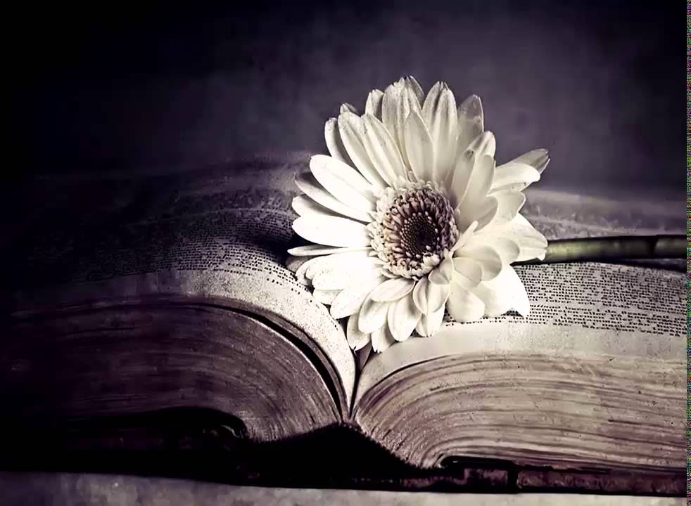 1 HOUR of Emotional Relaxing Music | Flowers in a Riot