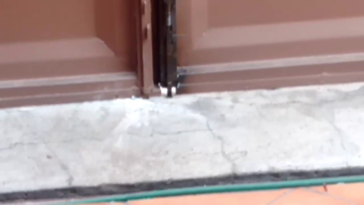 PUERTA AUTOMATICA CON PASADOR ELECTRICO