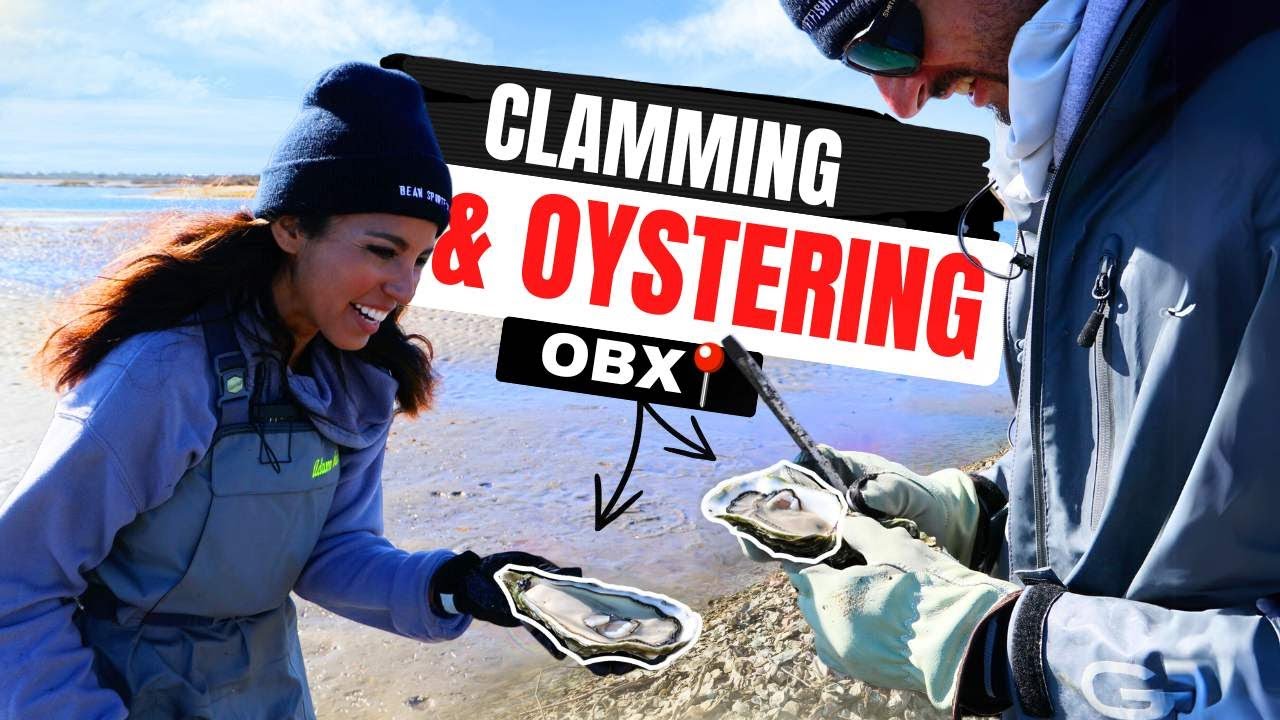 OYSTERING & CLAMMING in the Outer Banks, NC