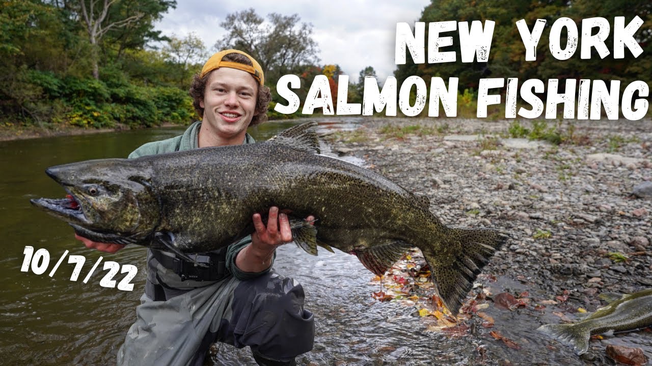 Salmon Fishing NY 2022 (SMALL CREEK)
