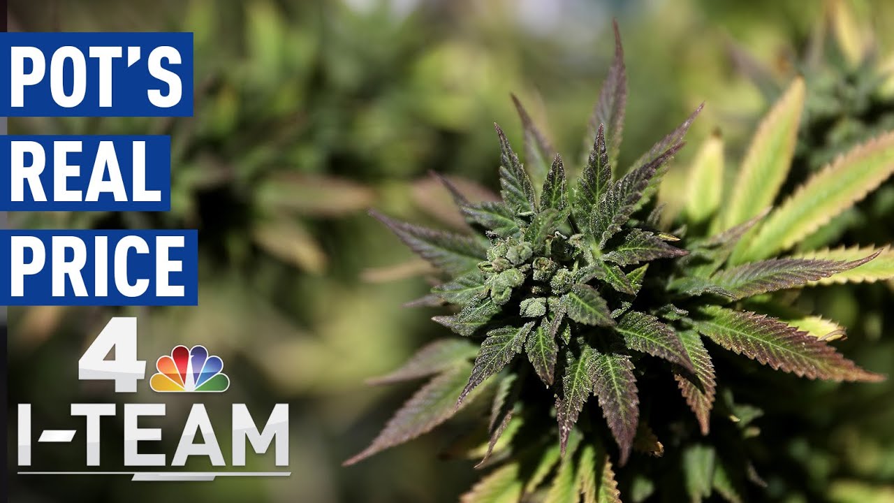 The Looming Cost of Marijuana Legalization | NBC4 I-Team