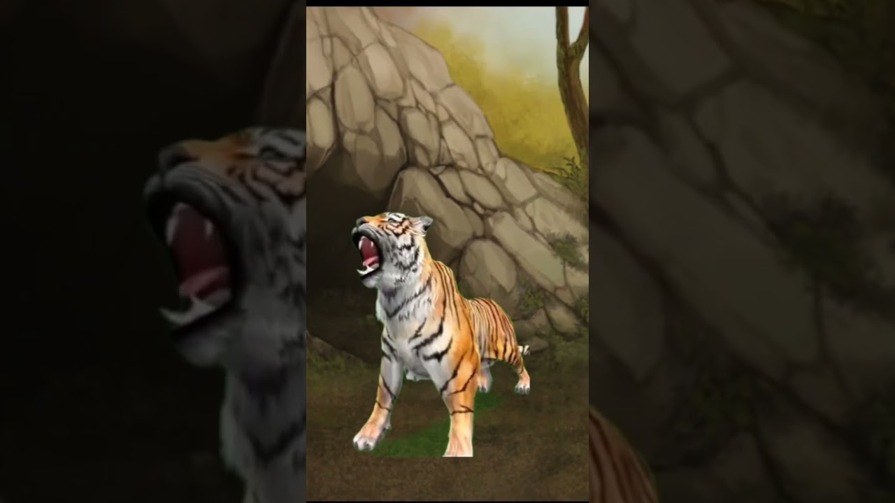 tiger roar #shorts #youtube #shortsvideo #youtubeshorts