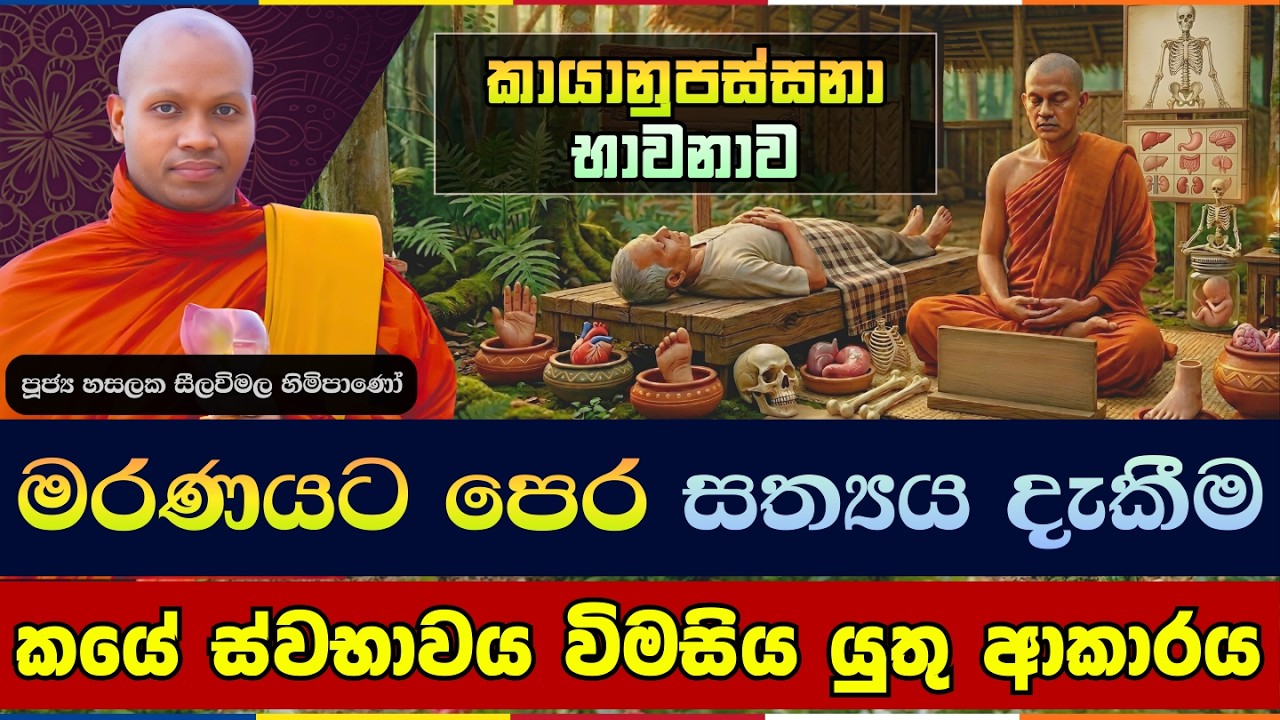 මරණයට පෙර සත්‍යය දැකීම - ප්‍රතිඵල විශ්මිතයි | Hasalaka Seelavimala Thero