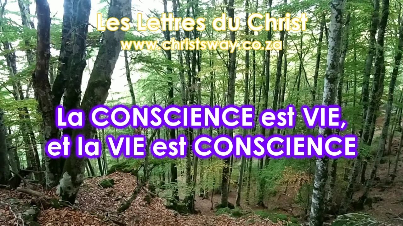 LdC Mtp - La Puissance Créatrice de l'Esprit travaille dans tous les êtres vivants 2 novembre 2025