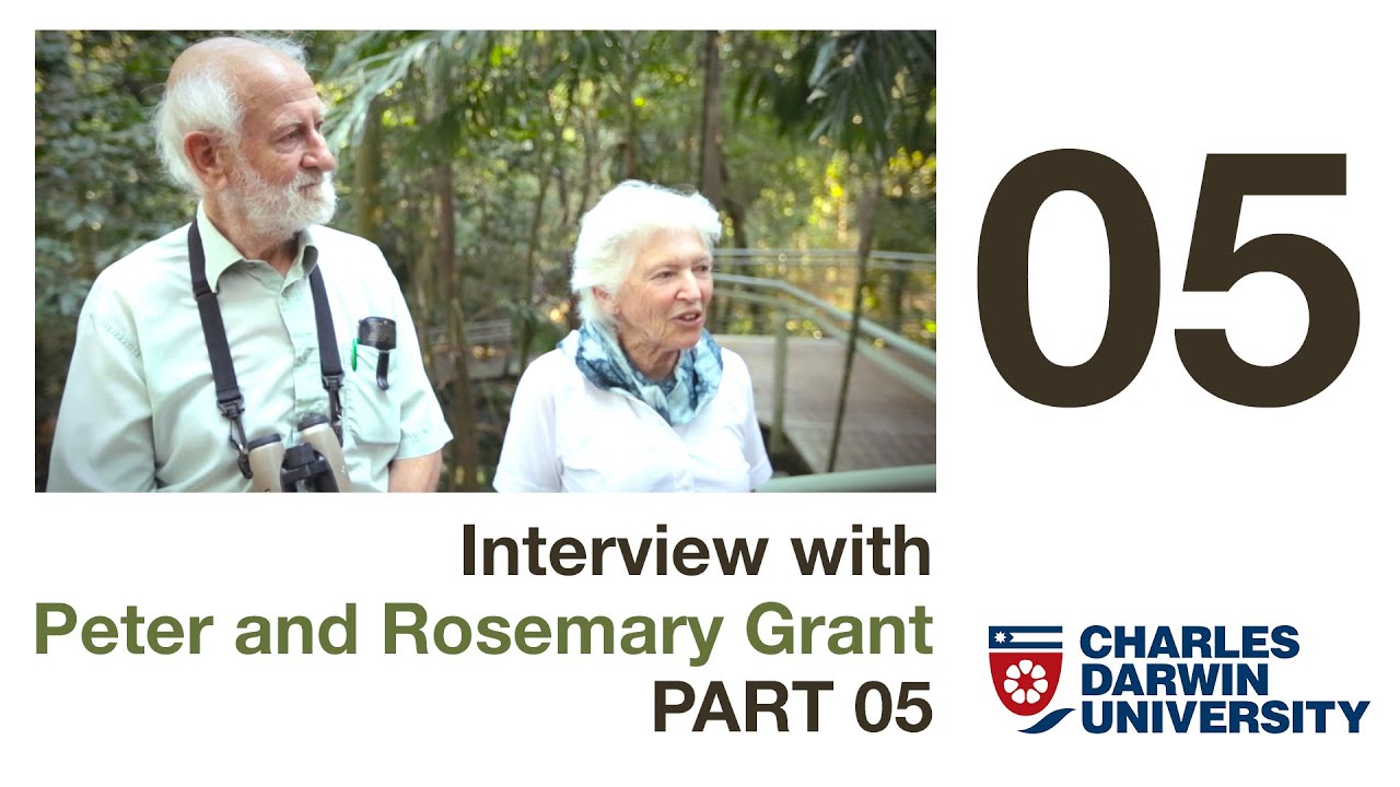 Discussion on Finch behaviour.  - Grants Interview part 05
