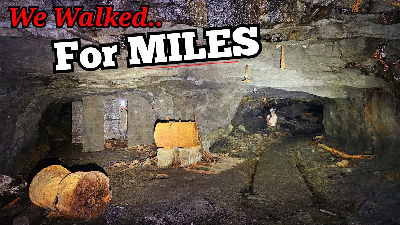 Is This How Everything Connected Underground?