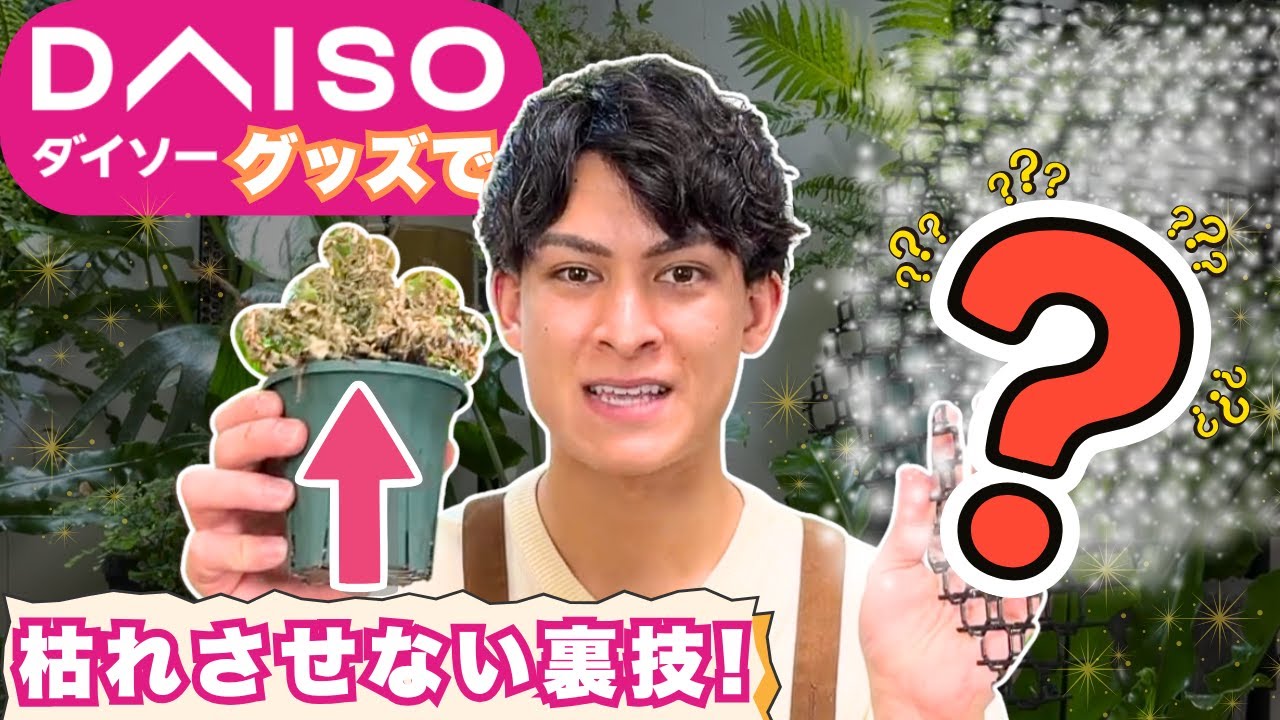 【使わなきゃ損】ダイソーの神グッズ、園芸の常識変わります