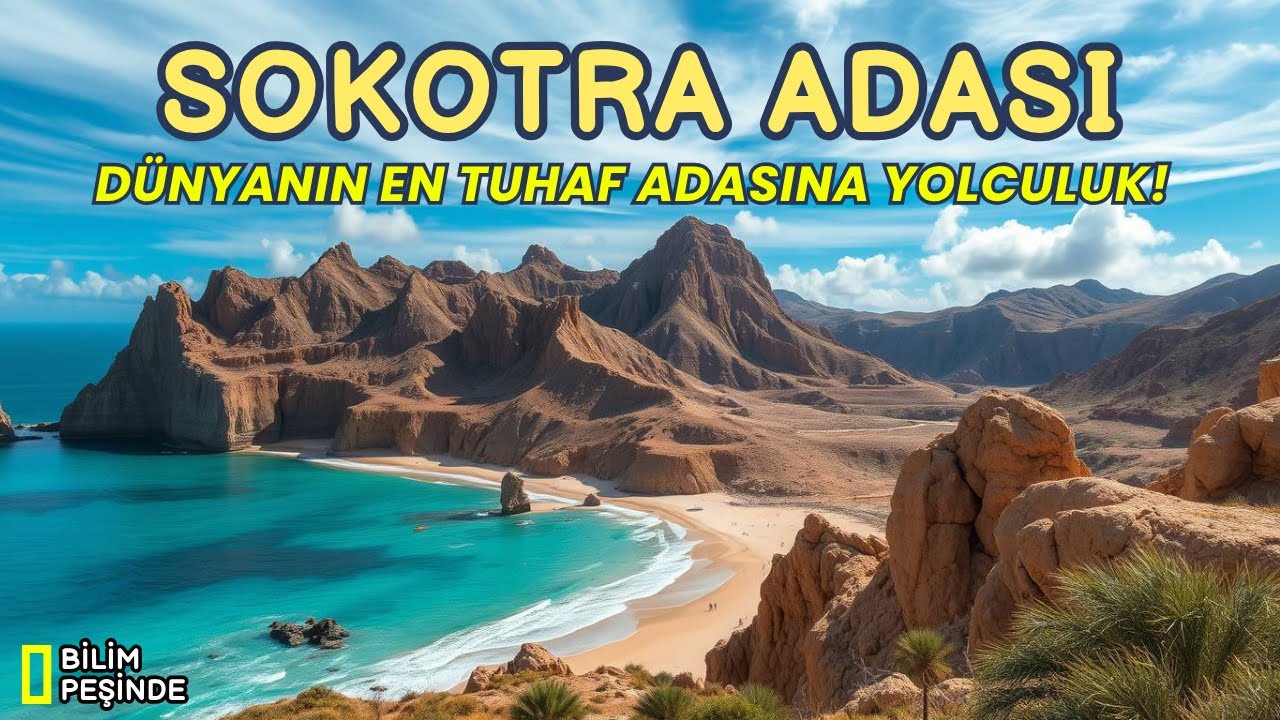 Sokotra Adası: Ejderha Ağa&ccedil;ları ve Eşsiz Canlı T&uuml;rleri | Belgesel
