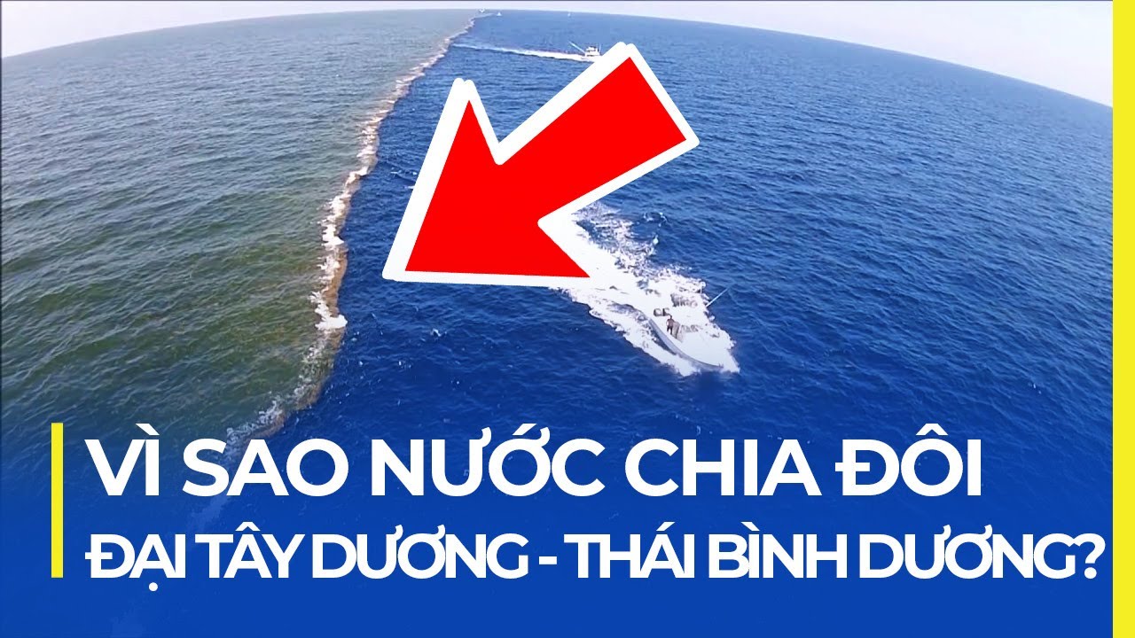 VÌ SAO NƯỚC THÁI BÌNH DƯƠNG - ĐẠI TÂY DƯƠNG TÁCH ĐÔI?