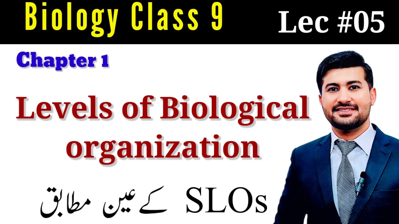 Levels of Biological Organization class 9 Biology chapter 1 by irtisams biology
