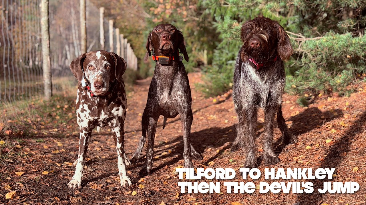Tour of Tilford