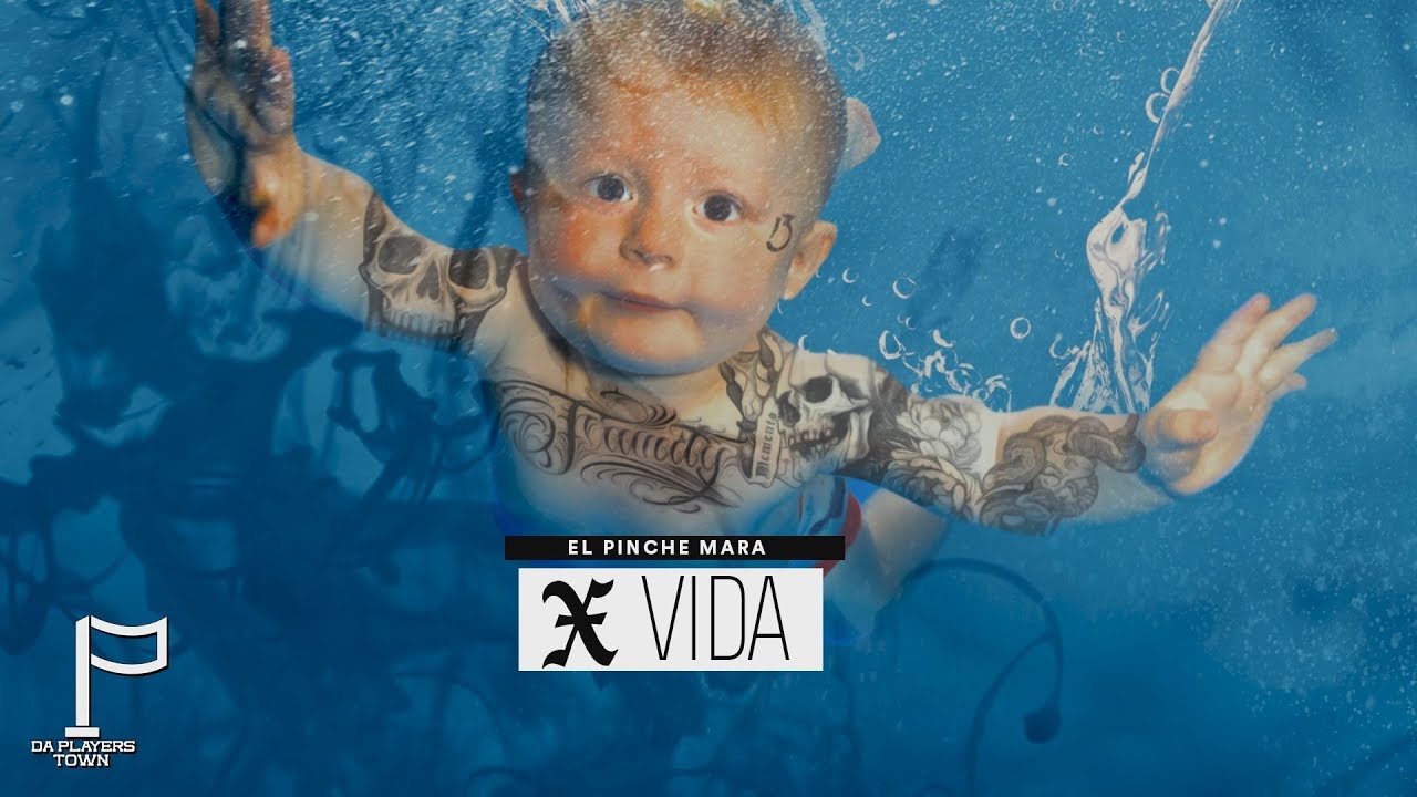 Pinche Mara - El Mara - X Vida  (Audio Oficial)