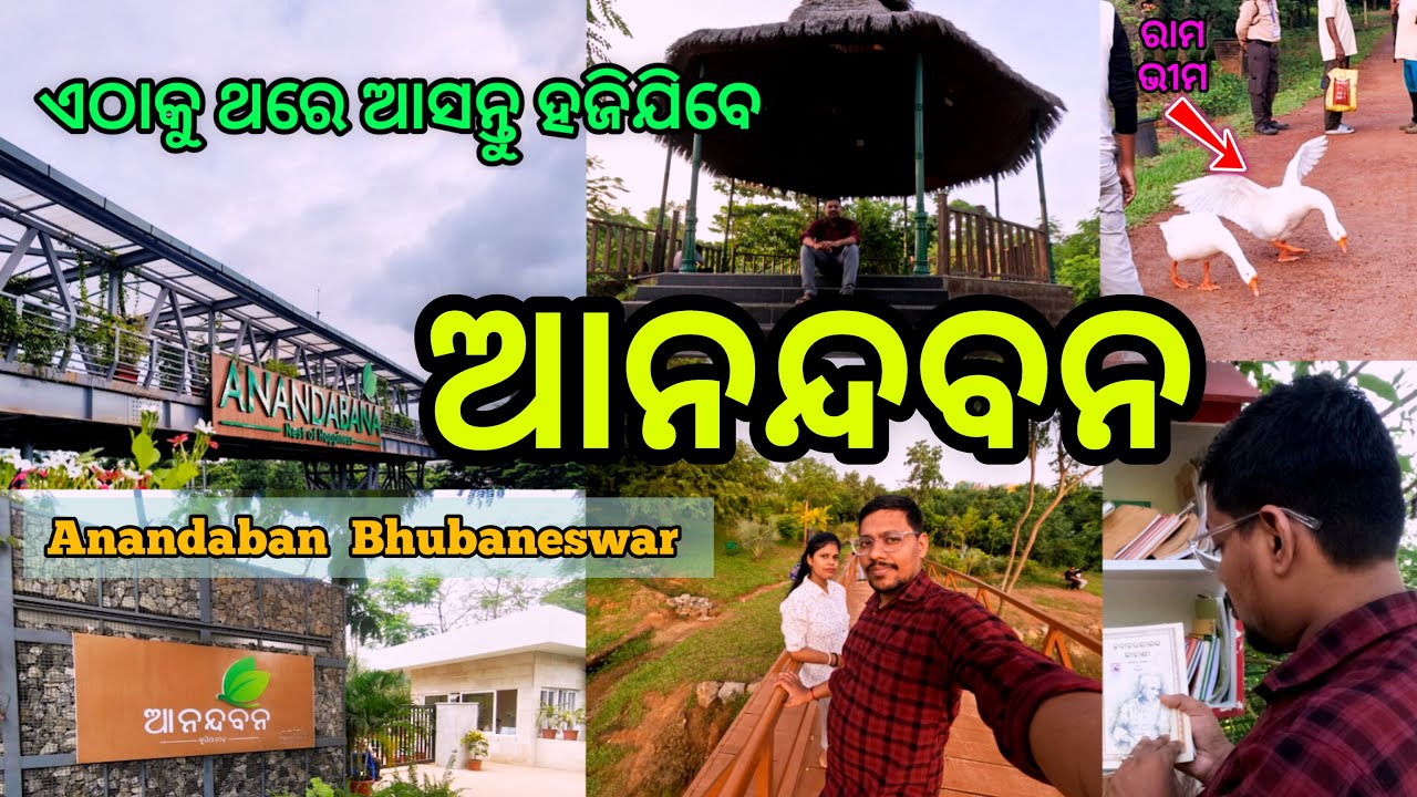 Anandabana  Bhubaneswar | Odisha Biggest Park in Bhubaneswar | Anandavan | Urban Forest Bhubaneswar