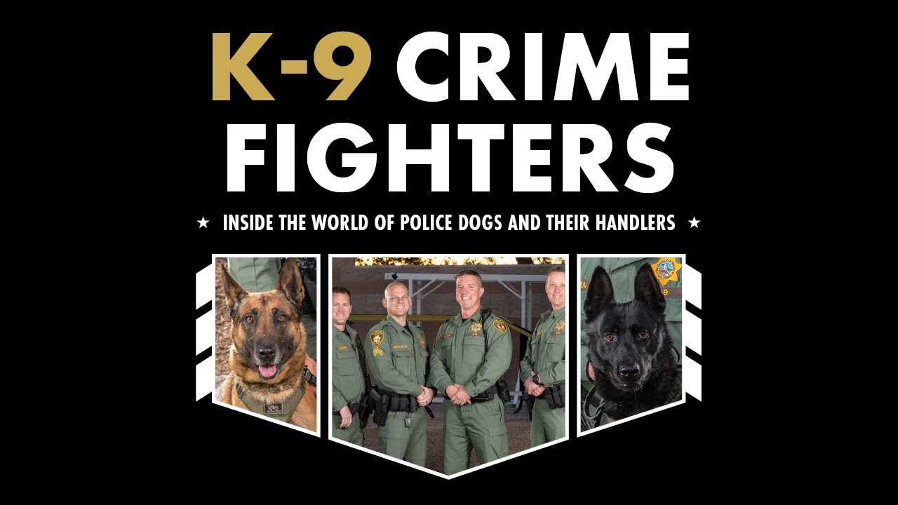 K-9 Crime Fighters: Inside the World of Police Dogs and Their Handlers