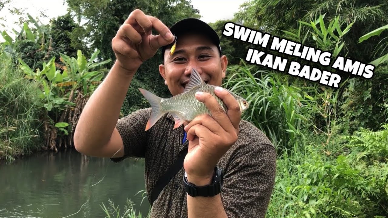 Sungai Mruwe Penuh Kejutan‼️ Hampala Disini Bandel2