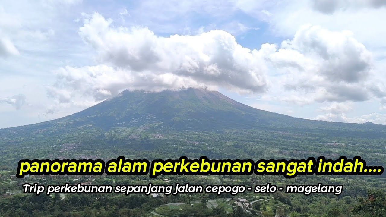 Keindahan Panorama Alam Perkebunan sepanjang jalan|| cepogo - selo - magelang. 