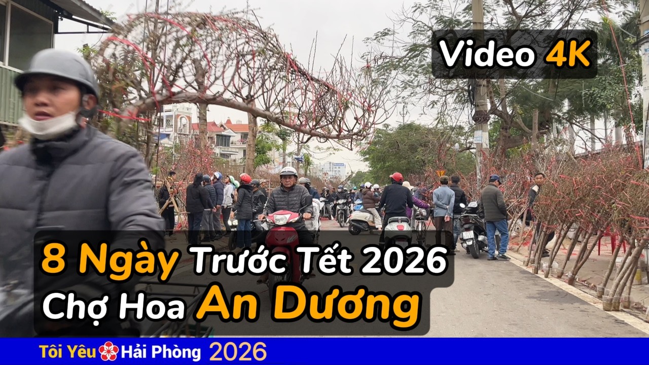 Nhộn nhịp chợ Hoa An Dương 8 ngày trước Tết 2026 ở Hải Phòng