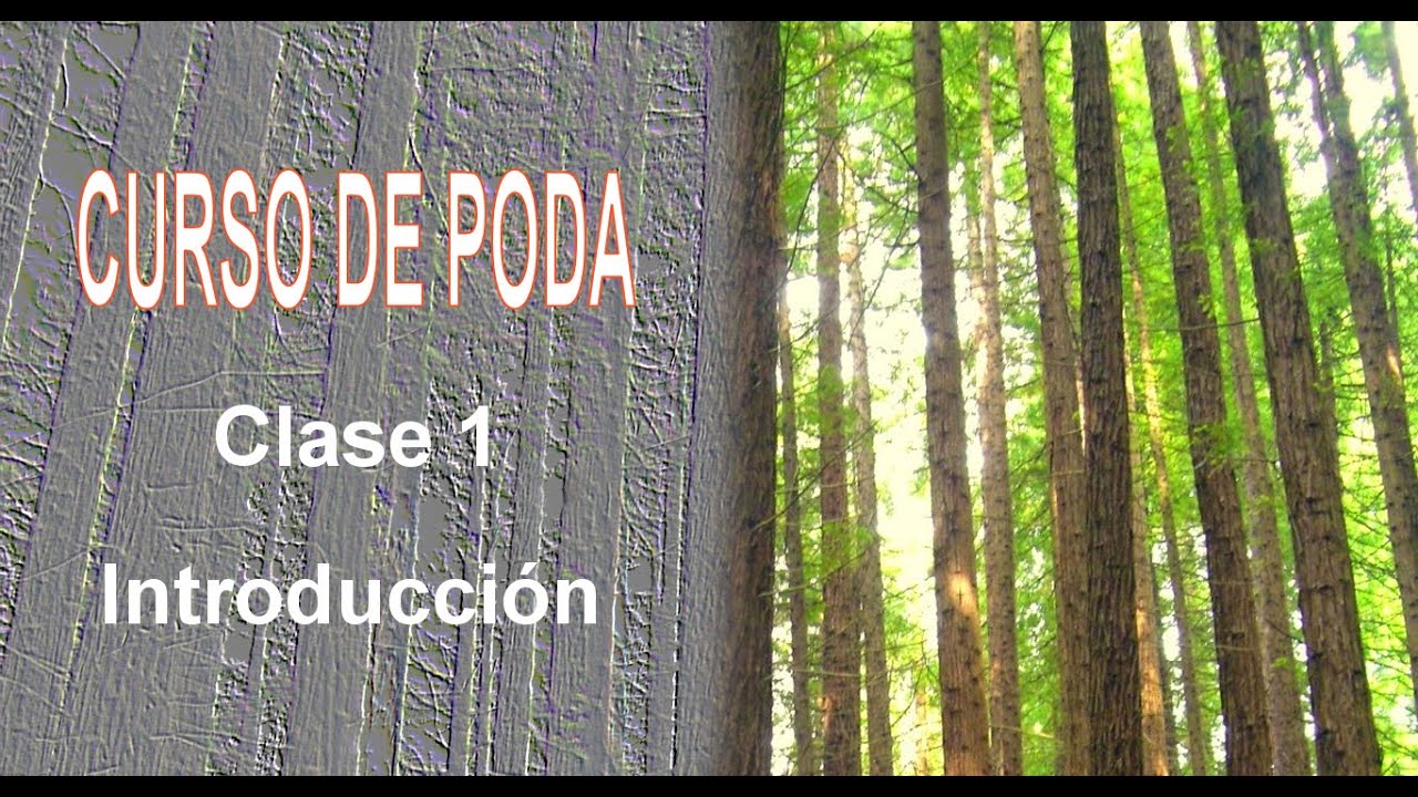Curso de Poda - Clase 1