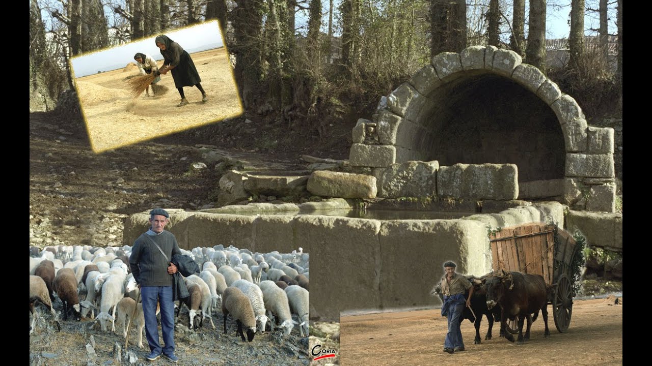 Aliste, tierra de yuntas y acarreos, Zamora, España