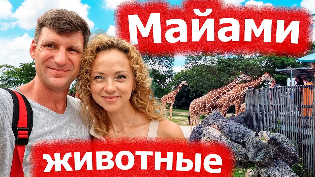 Майами - животные. Зоопарк. Парк бабочек. Сафари. США 2022.
