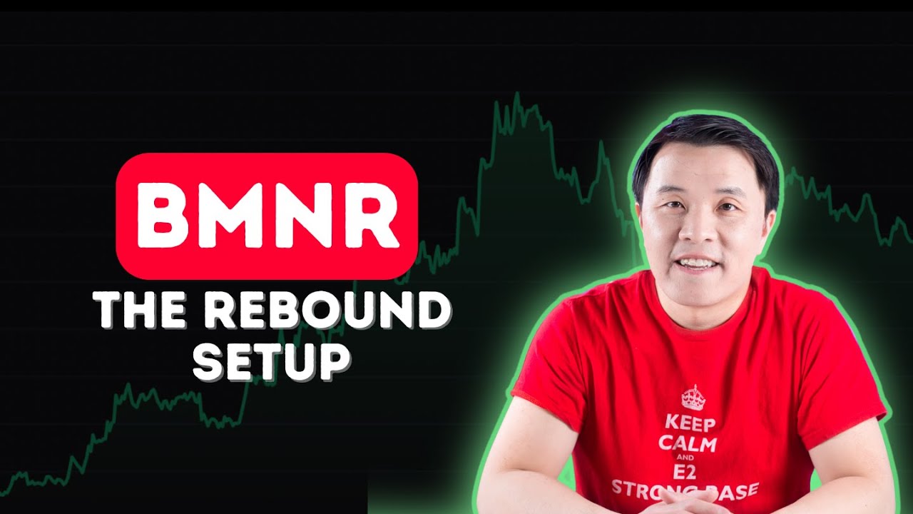 BMNR Update | Holdings, Q4 Earnings, Why the Selloff Happened & 2026 Setup