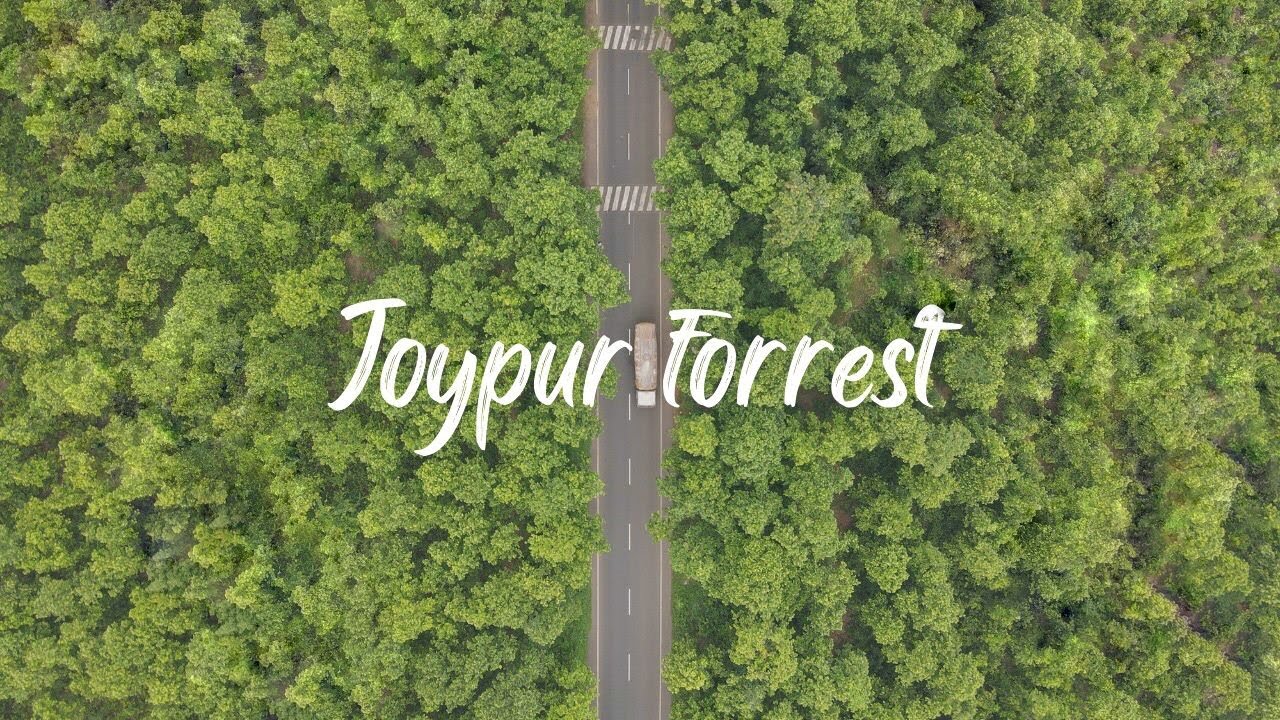 Joypur Forrest Bishnupur | Drone Shot | Unseen Bengal