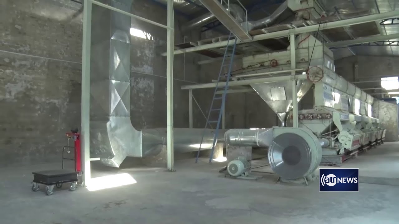 Another cotton processing factory established in Kandahar|ایجاد یک شرکت پروسس پنبه دیگر در کندهار