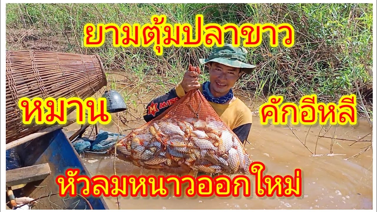 ยามตุ้มปลาขาว หัวลมหนาวออกครั้งแรก หมานๆกับเหยื่อสูตรเด็ด@ออนซอนอิสาน-ย2ศ #หมอแคนเต๋า