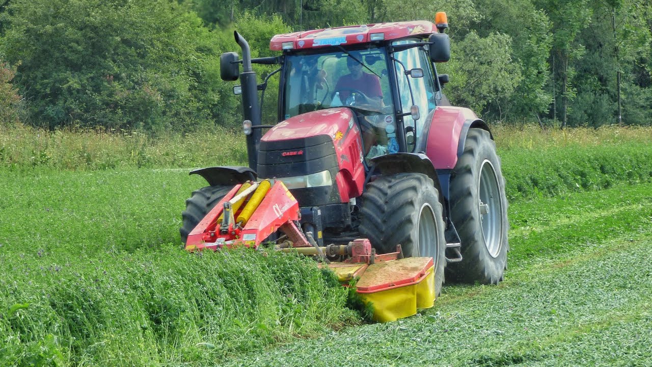 Kosenie lucerny Case IH Puma 210 + Pöttinger Alpha Motion 306f & NOVACAT 350 H