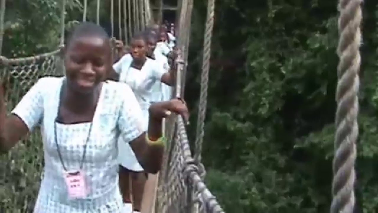 STUDENTS CRYING ON KAKUM NATIONAL PARK (CANOPY WALK)