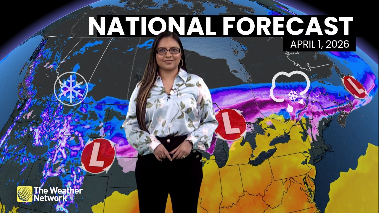 Национальный прогноз погоды в Канаде &mdash; 1 апреля 2026 г. | #WeatherAM