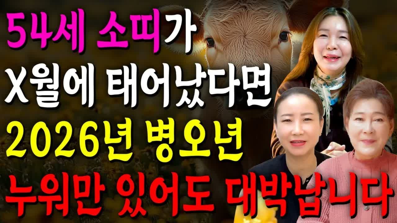73년생 소띠 필수 확인! 2026년 신년운세, 1월부터 인생 흐름이 바뀐다