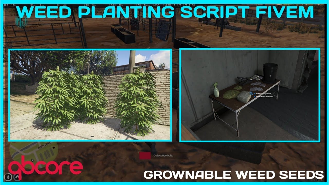 PS-Weed Planting Installation | Free Weed Script For QBCore | Project Sloth | MJ DEVELOPMENT