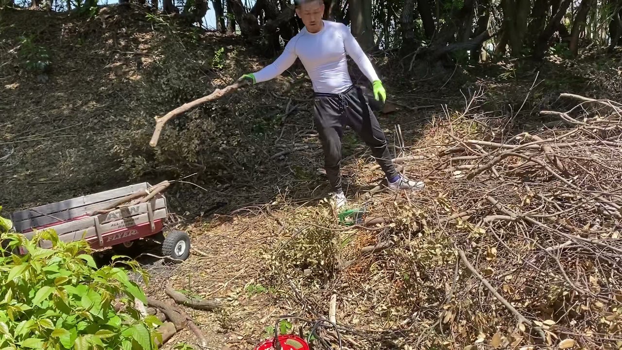 山いじり🏕ツツガムシ🔥マダニが怖い😱